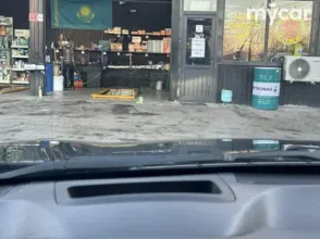 фото Hyundai Aslan 2016 года с пробегом за 5900000 тенге в undefined - фото 4