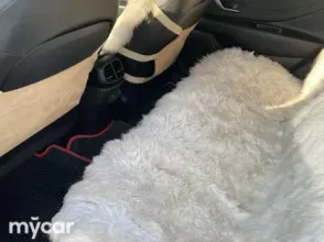 фото Hyundai Elantra 2023 года с пробегом за 8800000 тенге в undefined - фото 3