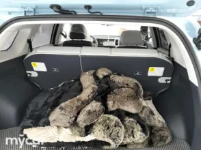 фото Hyundai Mufasa 2025 года с пробегом за 14500000 тенге в undefined - фото 3