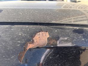 фото Volkswagen Passat 2007 года с пробегом за 3500000 тенге в undefined - фото 2