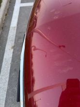 фото Chevrolet Nexia 2021 года с пробегом за 4000000 тенге в undefined - фото 4